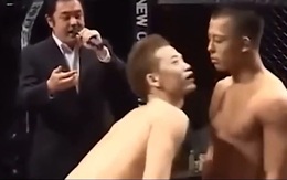 Võ sĩ ngổ ngáo bị đối thủ knock out