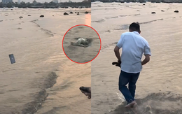 Chàng trai thả cá phóng sinh quăng nhầm iPhone xuống biển