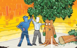 Giải nhất cuộc thi 'hớt tóc' cây xanh đô thị