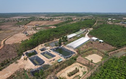 Bị phạt vì gây ô nhiễm môi trường, chủ trại heo kiện chủ tịch tỉnh