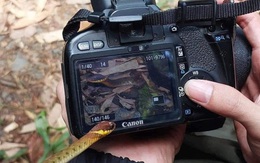 Ảnh vui 15-5: Thần thái quyết định tất cả