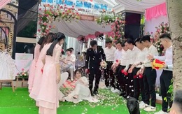 Cô dâu tung hoa cưới bị chú chó đốn ngã