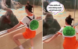 Cô gái lầy lội khiến các động vật chán không buồn nói