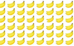 Bạn có tìm thấy 'nải chuối lạc loài' trong 6 giây?