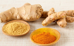 Ăn gì tốt cho não và bảo vệ tế bào thần kinh?