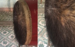 Ảnh vui 21-8: Chiếc trống trường sau 2 tháng nghỉ hè