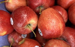 Chất xơ quan trọng thế nào mà các mẹ lại phải thêm 'kẹo rau củ' cho con?