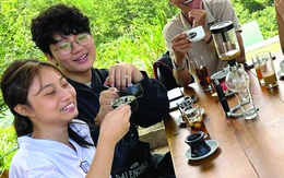 Cà phê - đâu chỉ có hương và vị?