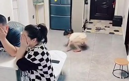 Con gái bị bố mẹ cho ăn cú lừa khi chơi trốn tìm