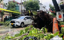 Bộ Tài chính yêu cầu chi ngân sách hỗ trợ ngay cho người dân bị thiệt hại do bão