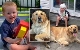 Chú chó giúp cậu bé mắc hội chứng hiếm gặp hồi phục bất ngờ