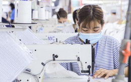 Đề xuất giữ mức đóng bảo hiểm thất nghiệp 1%, doanh nghiệp đặc thù giảm về 0%