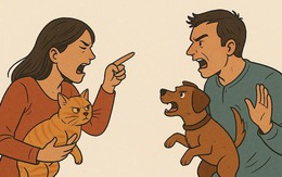 Đôi vợ chồng son đòi ly hôn vì chó mèo không... hợp cạ
