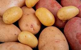 Loại nào tốt hơn: Khoai lang hay khoai tây? Quýt hay cam?