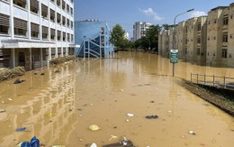 Vụ sinh viên tố bị gây khó khăn khi nhận cơm từ thiện: Trường yêu cầu đình chỉ nhân viên căng tin