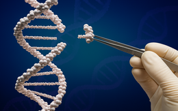 Đột phá giúp chỉnh sửa gene, mở đường chữa hàng trăm bệnh di truyền