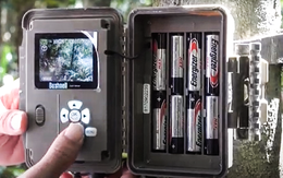 Kiểm lâm đặt bẫy ảnh để làm rõ tin khỉ trắng xuất hiện ở Hòn Sơn