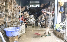 Hình ảnh người dân phía Bắc dọn dẹp, gượng dậy sau bão lũ