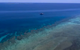 Phát hiện rạn san hô trắng bí ẩn dưới Địa Trung Hải