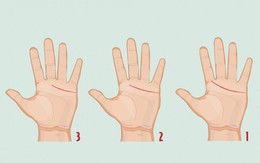 Quiz: Đường chỉ tay tiết lộ bạn hướng nội hay hướng ngoại?