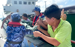 Cứu 3 thuyền viên vụ tàu cá bị chìm khi va chạm với tàu hàng