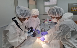 Hàn Quốc mở trung tâm pháp y động vật