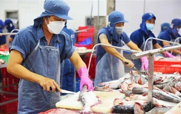 Việt Nam lần đầu tổ chức triển lãm quốc tế khoa học công nghệ thủy sản