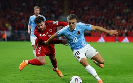 Sự cố hy hữu khiến trận Xứ Wales - Bỉ bị gián đoạn