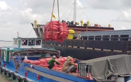 Doanh nghiệp Việt làm gì khi Philippines tính kéo dài lệnh cấm nhập khẩu gạo?