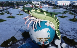 Con tôm 22 tỉ ở Cà Mau 'khủng' đến mức nào?