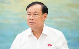 Ông Lê Tấn Tới: Giải quyết mấy ụ bê tông sân bay Tân Sơn Nhất mất mấy năm, Thủ tướng vào mới xong