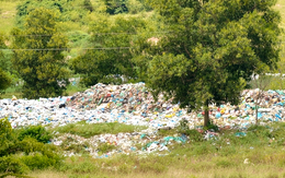 Lúa 'chết tươi' từ bãi rác đen kịt chảy xuống