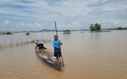 Mùa nước nổi miền Tây: Mùa lũ đẹp nhưng cá tôm chưa nhiều