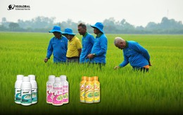 Nông Dược Toàn Cầu - Bộ sản phẩm đáp ứng đa dạng nhu cầu nông nghiệp