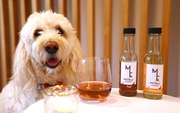 New Zealand sản xuất rượu cho thú cưng giảm ‘xì trét’