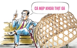 Cá mập khoái thịt gà