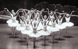 Kiệt tác Hồ thiên nga cháy vé, HBSO mở thêm suất diễn