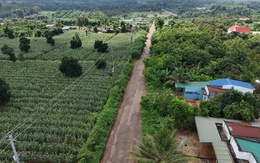 Lập tổ rà soát để xử lý vụ nghi gian lận chấm thầu ở Đắk Lắk