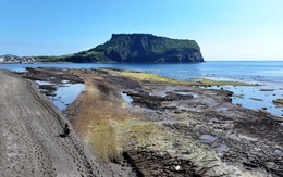 Hàn Quốc: 20kg ma túy giấu trong gói 'trà' chữ Trung Quốc trôi dạt vào đảo Jeju