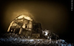 Khoảnh khắc hoang dã lay động thế giới: Những bức ảnh thiên nhiên xuất sắc nhất 2025