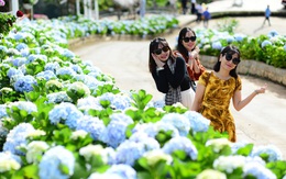 Thời tiết hôm nay 16-10: Bắc Bộ giảm mưa, Nam Bộ chiều mưa to