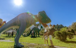 'Lớp học thiên nhiên' giữa đại ngàn Yang Bay