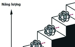 Nobel Vật lý 2025: Tất định bất ngờ