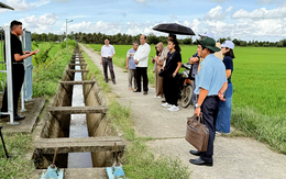 Quốc tế đánh giá Việt Nam đủ khả năng giúp nhiều nước tăng năng suất trong nông nghiệp