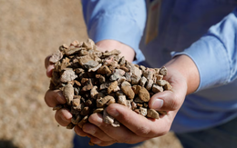 Đất hiếm Trung Quốc có khả năng 'hạ gục' Mỹ?