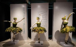 Không gian nghệ thuật Tinh Tuyển Phương Hoa: Mê hoặc và cảm xúc