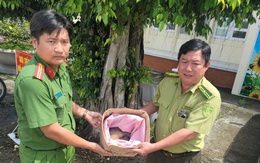 Rùa núi vàng và tê tê đi lạc, người dân phát hiện liền đem giao nộp cho công an