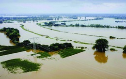 Sông ngòi và quản lý lũ lụt: Chảy đi sông ơi