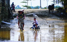 Chuỗi cung ứng trước nỗi lo thiên tai