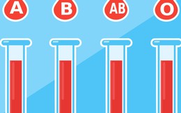 Quiz: Nhóm máu tiết lộ tính cách cuộc sống của bạn